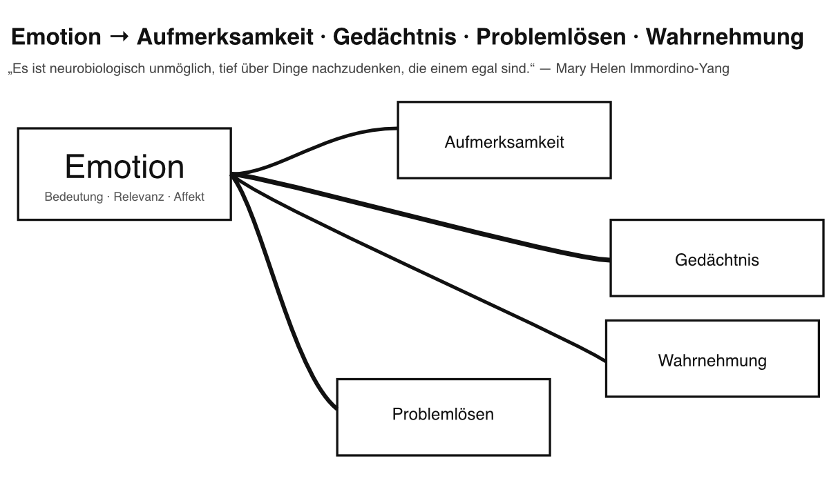 Mary Helen Immordino-Yang, Neurowissenschaftlerin